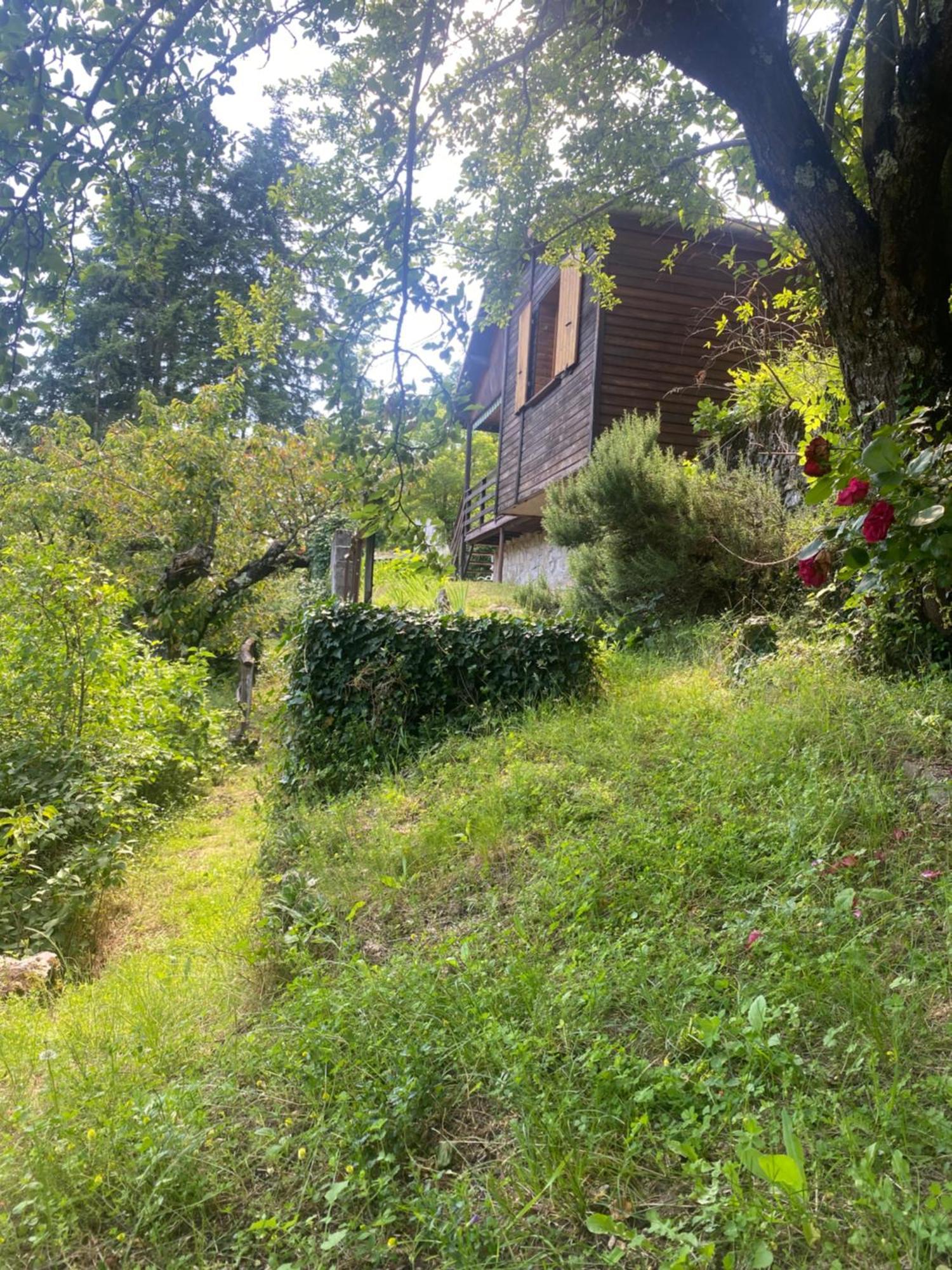 Chalet Les Accacias Vocance Luaran gambar